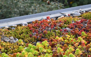 the cost of Lower Woodside green roof installation