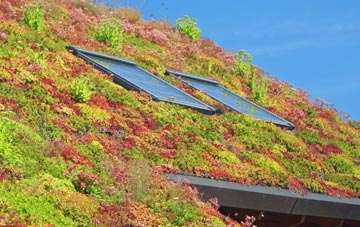 Lower Woodside living roof systems